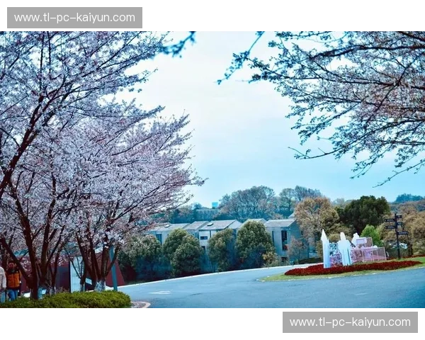 大阪樱花的浪漫邂逅:是樱红似血,还是粉嫩如霞? 大阪樱花的浪漫邂逅:是樱红似血,还是粉嫩如霞?